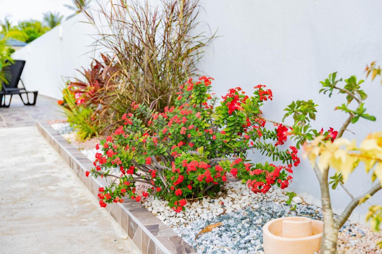 Promo ! Les Paisibles Villas C & G Richeplaine Exteriér fotografie
